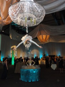 aerial bartender www.AerialArtistry.com  