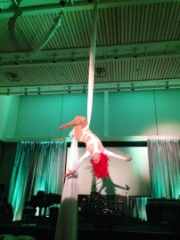 events-aerial acrobat