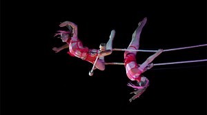 To hire an aerialist, aerial acrobatics show, or team of aerialists available for your next event