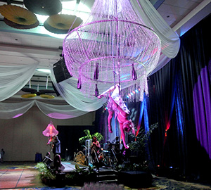 aerial bartenders in bahamas