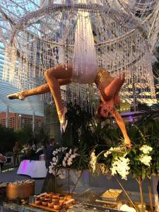 22552506_10155759612847770_6195849600123423001_n