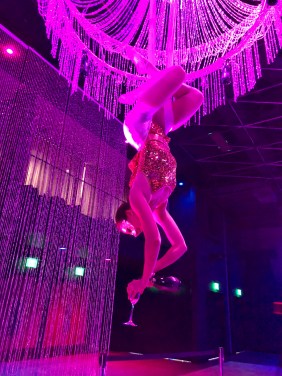 Aerial Artistry Aerial Bartenders or ‘Champagne Chandelier’
