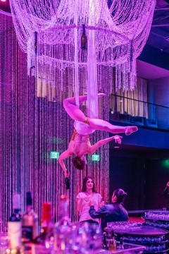 Aerial Artistry Aerial Bartenders or ‘Champagne Chandelier’